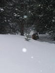 2008-02-23 Leadville  Snowshoe 08