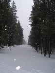 2008-02-23 Leadville  Snowshoe 25