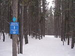2008-02-23 Leadville  Snowshoe 26