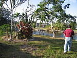 2005-12-25 Christmas Day at Gay and Dave's 12