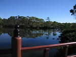 2005-12-27 Boca Raton- Japanese Gardens 02