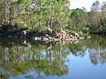 2005-12-27 Boca Raton- Japanese Gardens 04