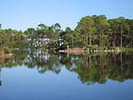 2005-12-27 Boca Raton- Japanese Gardens 07