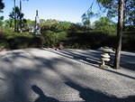 2005-12-27 Boca Raton- Japanese Gardens 09