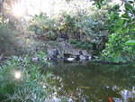 2005-12-27 Boca Raton- Japanese Gardens 20
