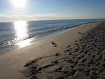 2005-12-28 Boca Raton- Spanish River Park 02