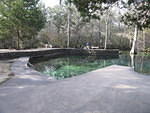 2006-01-06 Ponce De Leon Springs SP 01