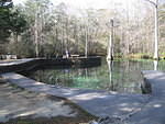2006-01-06 Ponce De Leon Springs SP 03