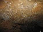 2006-01-07 Florida Caverns 02