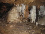 2006-01-07 Florida Caverns 03