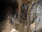2006-01-07 Florida Caverns 05
