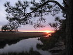2006-01-16 Cumberland Island