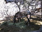 2006-02-23 Earth Knack 011