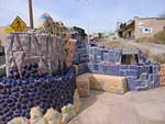 2006-02-25 T or C- Elephant Butte 09