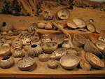 2006-02-25 T or C- Elephant Butte 23