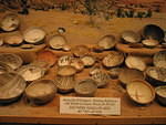 2006-02-25 T or C- Elephant Butte 24