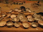 2006-02-25 T or C- Elephant Butte 25