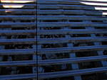2006-02-27 Organ Mtns- Las Cruces 11