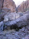 2006-02-27 Organ Mtns- Las Cruces 16