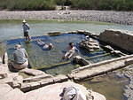 2006-03-02  Big Bend-Hot Springs hike