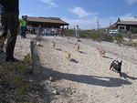 2006-03-04 Big Bend-Ernst Tinaja-Terlingua