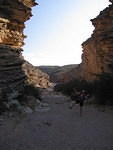 2006-03-04 Big Bend-Ernst Tinaja-Terlingua 07