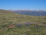 2013-06-22 Powderhorn Wilderness 025