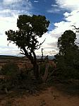2013-09-21 Grand Junction- Fruita trip 016