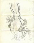1976c-Drawing by Teresa