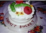 2002c-Varmit Bucket for Momo